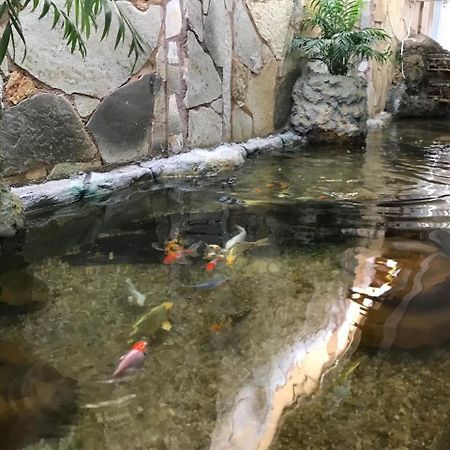Hotel Luz Fronteira Zewnętrze zdjęcie
