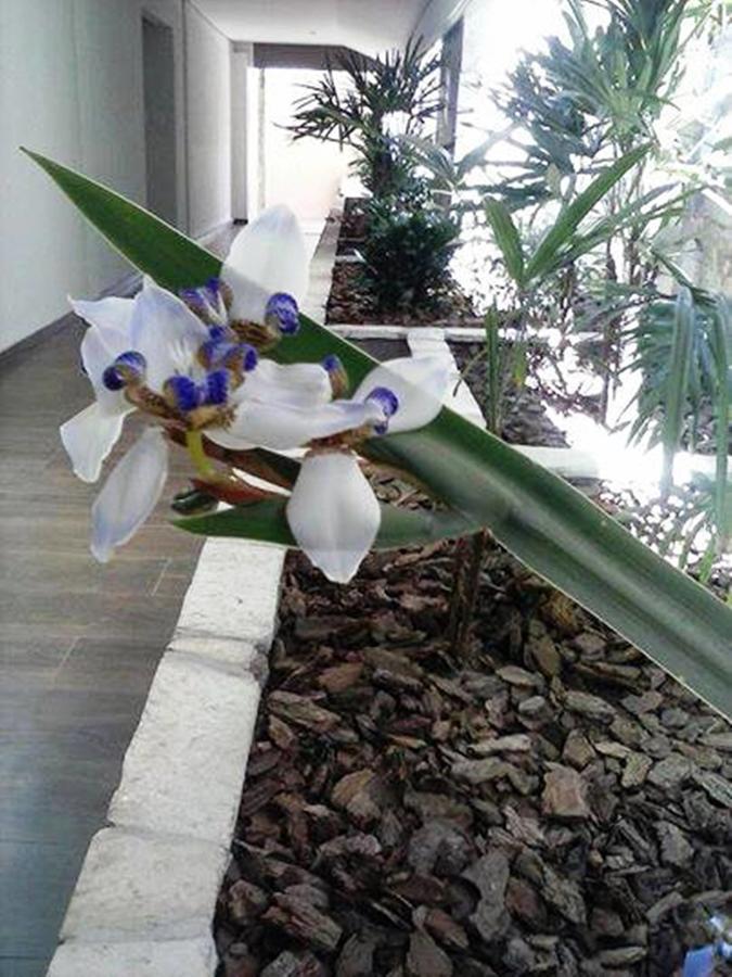 Hotel Luz Fronteira Zewnętrze zdjęcie