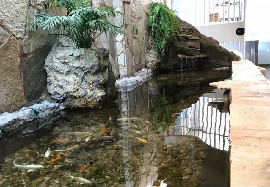 Hotel Luz Fronteira Zewnętrze zdjęcie
